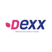 DEXX - Grossiste en fleurs et plantes logo - Similar company to Feuillazur Lyon