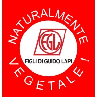 FIGLI DI GUIDO LAPI S.P.A. logo - Similar company to Lapi Group Spa