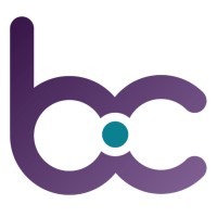 Boon-Chapman logo - Similar company to Integrated Data Services