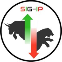 Special Interest Group- Investment and Portfolio Management logo - Similar company to Sigma - The Marketing Club | Fore School Of Management