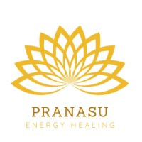 Pranasu logo - Similar company to Wizzfox