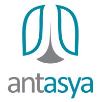 Antasya Software and Consultancy logo - Similar company to Mir Group - Turkey