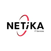 NETiKA IT Services logo - Similar company to Computis