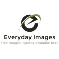Everydayimages