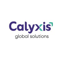 Calyxis Global Solutions logo - Similar company to Digi Daddy