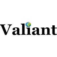 Valiant Business Consulting logo - Similar company to Bronco Associates