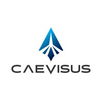 Caevisus logo - Similar company to Capture Collective, Inc.