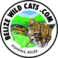 Belize Wild Cats logo - Similar company to Save Wild Cats Foundation