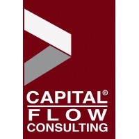 Capital Flow Consulting logo - Similar company to Am Group
