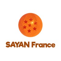 SAYAN France logo - Similar company to Marx Distribution
