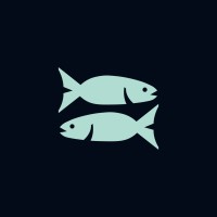 Bluefish Films logo - Similar company to Criamov