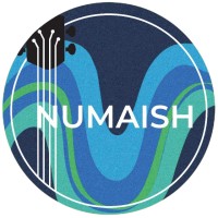 NUMAISH - The Music Band logo - Similar company to Hdbs Trading And Projects