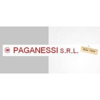 PAGANESSI S.R.L. logo - Similar company to Elettrosolution S.R.L.