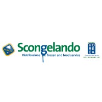 SCONGELANDO S.R.L. logo - Similar company to Più Gel