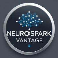 NeuroSpark Vantage LLC logo - Similar company to Vizmonet Pte Ltd