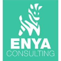 Enya Consulting AB logo - Similar company to Bb Consultancy