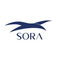 Sora Aviation logo - Similar company to Onegrab