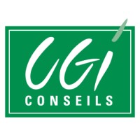 CGI Conseils logo - Similar company to Chequemate.Ch