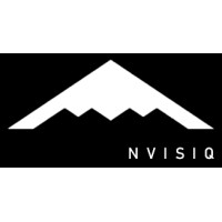 NVISIQ logo - Similar company to Inemsens