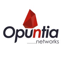 OPUNTIA NETWORKS logo - Similar company to Ceracom