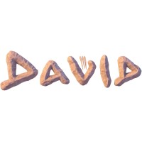 The David Movie