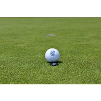 Forest Lake Country Club logo - Similar company to Nuimage Medspa