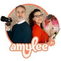 Amylee logo - Similar company to Gerstaecker Uk Ltd (T/A Greatart)