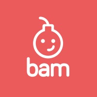 BAM logo - Similar company to Eltraco Aps