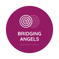 Bridging Angels logo - Similar company to Lelapa - African Fintech Advisory