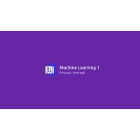 Machine Learning 1 Private Limited logo - Similar company to The Techno Throne