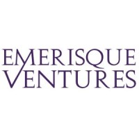 EMERISQUE BRANDS UK LIMITED logo - Similar company to Be Inspired Today