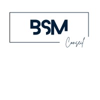 BSM CONSEIL logo - Similar company to Aclea Conseil