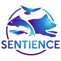 Sentience Rennes logo - Similar company to Sentience