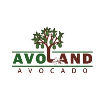 Avoland Avocado logo - Similar company to Ferreira Fresh