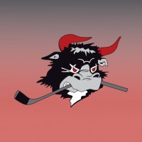 Rødovre Mighty Bulls logo - Similar company to Aalborg Pirates