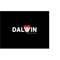 Dalwin Bouw logo - Similar company to Vanda Carpets B.V.
