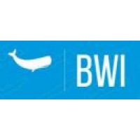 BLUE WHALE INTERNATIONAL logo - Similar company to Dipdig By Outsourcing