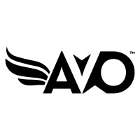 Aviation Organization logo - Similar company to Aviation Mart