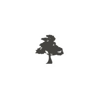 Portola Homes