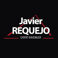 Javier REQUEJO logo - Similar company to Sailsense Analytics