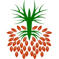 Ephesus logo - Similar company to Ephesus Technology Consulting Group