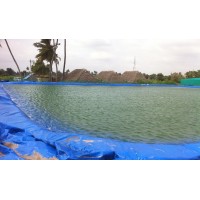 Arjun Agriculture Pond Liners/Aqua Culture Pondliners/Biofloc Pondliners/Fish farming pond liners logo - Similar company to Sasya Systems