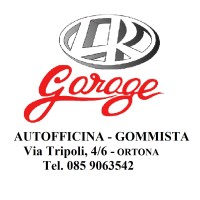 LR GARAGE SNC logo - Similar company to Dlo Import-Export Sas