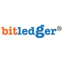 Bitledger Spain logo - Similar company to Bitfuture
