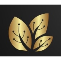 Datasoftixs logo - Similar company to Datasoft