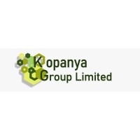 KOPANYA GROUP LIMITED logo - Similar company to Brawne Capital Holdings Limited