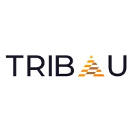 TRIBAU Contractors Ltd. logo - Similar company to Cornerstone Information Systems And Technology