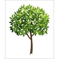 Woodcote Counselling