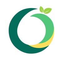 CognitoX logo - Similar company to Techtong