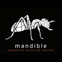 Mandible